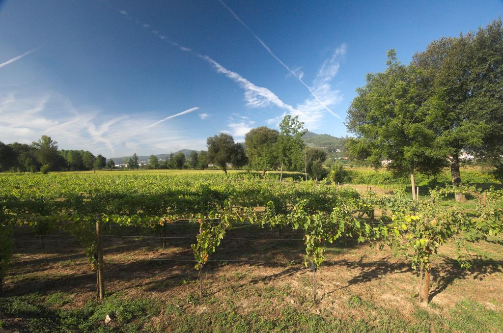 1720 Quinta da Cancela Guimarães Esterno foto