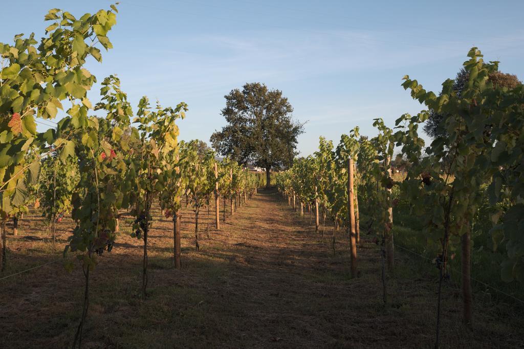 1720 Quinta da Cancela Guimarães Esterno foto